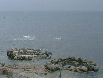 Image24