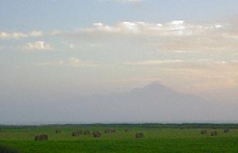 Image37